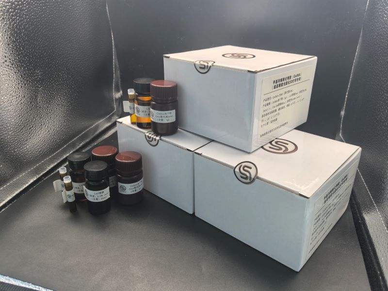 1740028692497167.jpg 素靈水凝膠.jpg