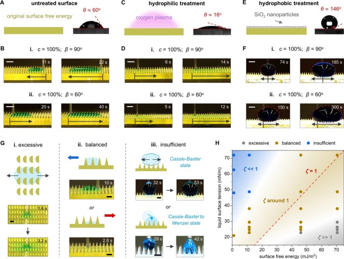 1740030176181487.jpg 微信圖片_20250220133434.jpg