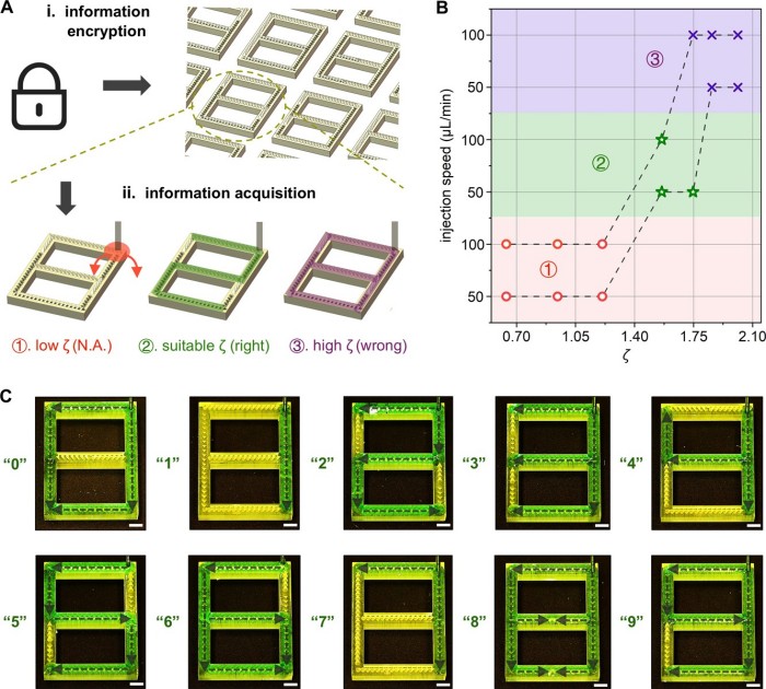 1740030244280837.jpg 微信圖片_20250220133444.jpg