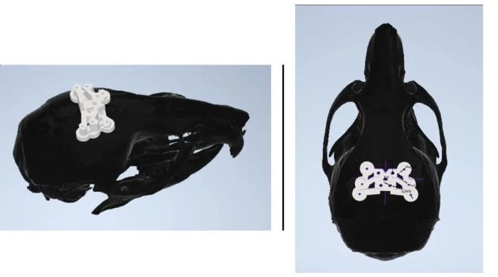 1740366755650041.jpg 微信圖片_20250224111037.jpg