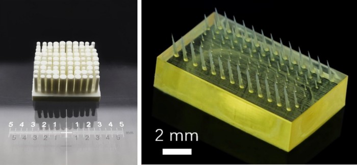 1741337876898742.jpg 微信圖片_20250307165505.jpg