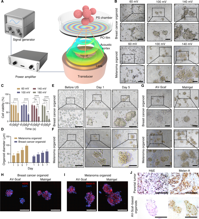 1742351337369361.png 微信圖片_20250319100157.png