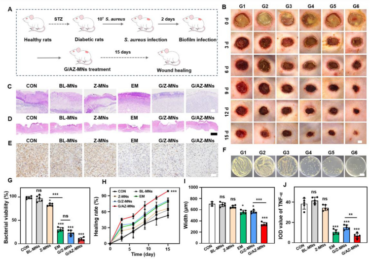 1744016328746322.png 微信圖片_20250407165708.png