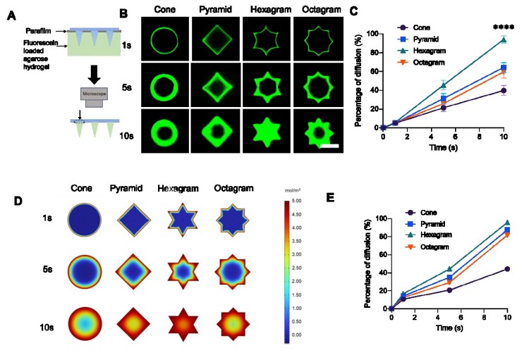 1744101693184898.jpg 微信圖片_20250408163529.jpg
