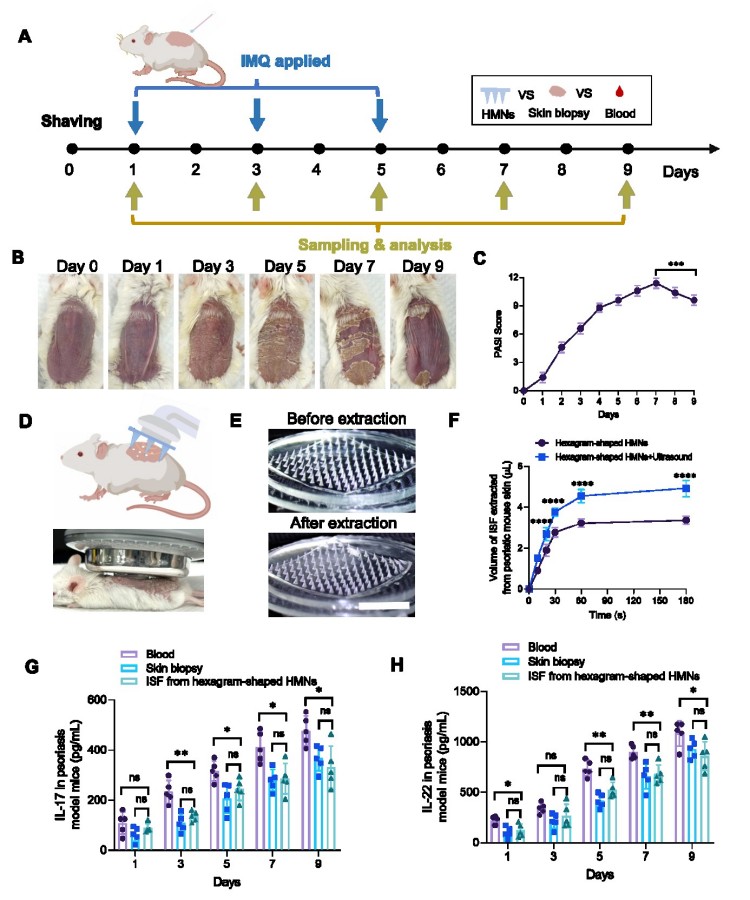 1744101743282052.jpg 微信圖片_20250408163542.jpg
