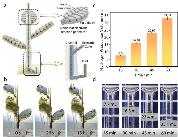 1744179467414336.jpg 微信圖片_20250409141122.jpg