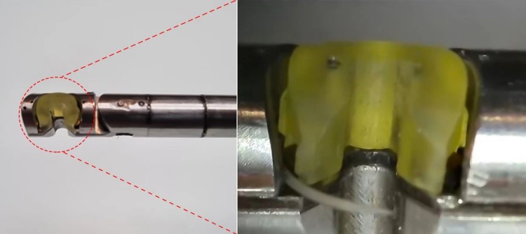 1744187301660243.jpg 微信圖片_20250409162157.jpg