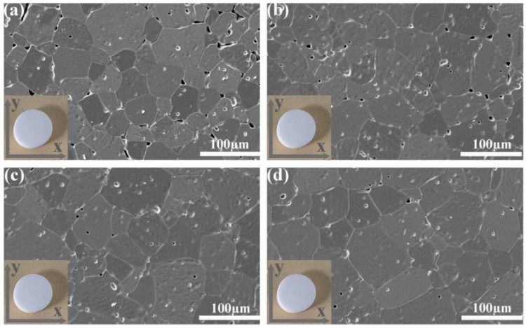 1744278220561702.jpg 微信圖片_20250410174022.jpg