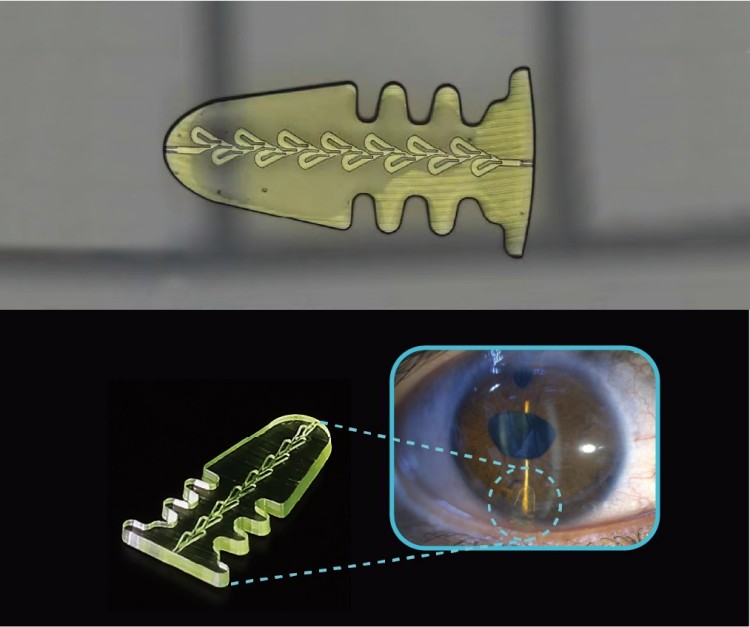 1744682992566771.jpg 圖片2.jpg