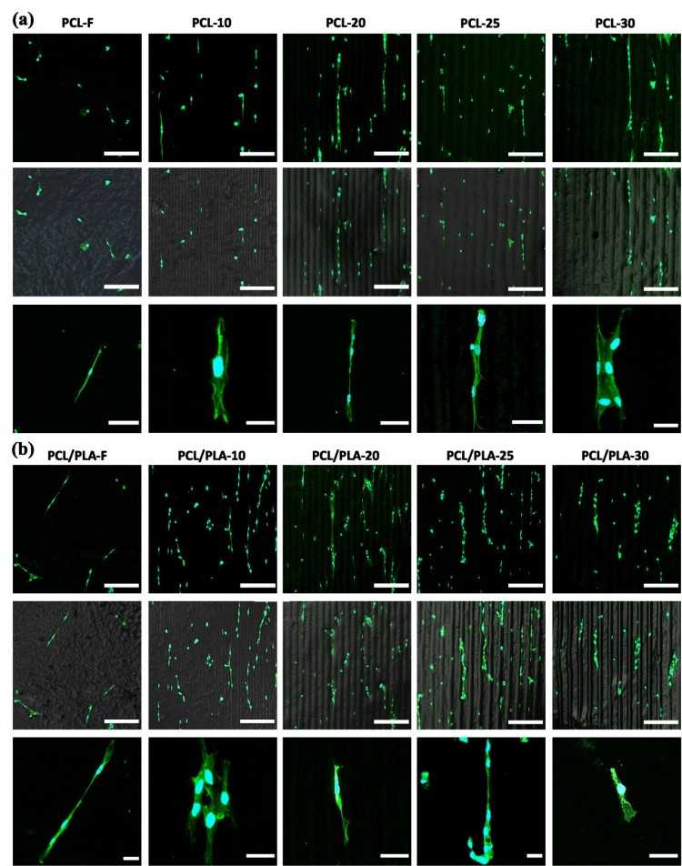 1744683696191527.jpg 微信圖片_20250415101903.jpg