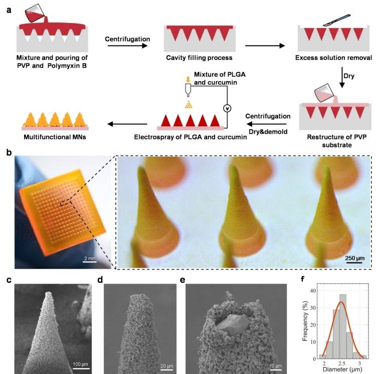 1744684378479363.jpg 微信圖片_20250415103112.jpg