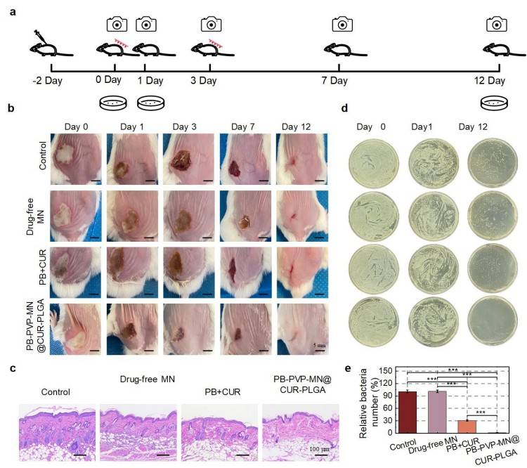 1744684435100602.jpg 微信圖片_20250415103137.jpg