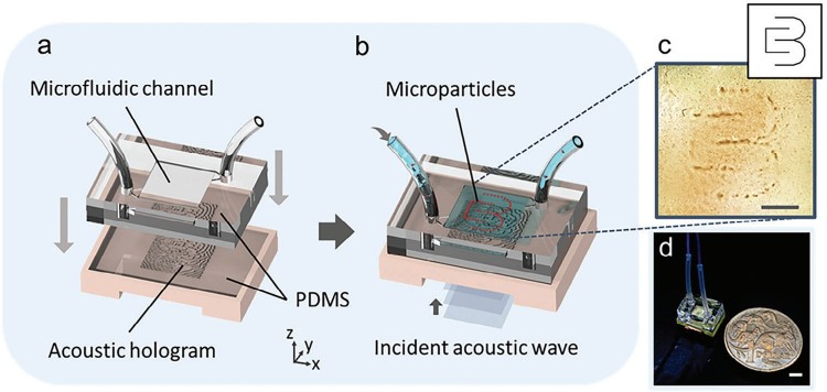 1744794378460607.jpg 微信圖片_20250416170243.jpg