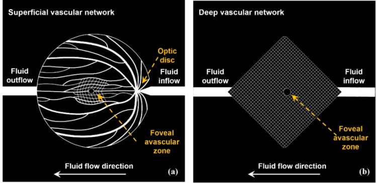 1744795395303223.jpg 微信圖片_20250416172057.jpg