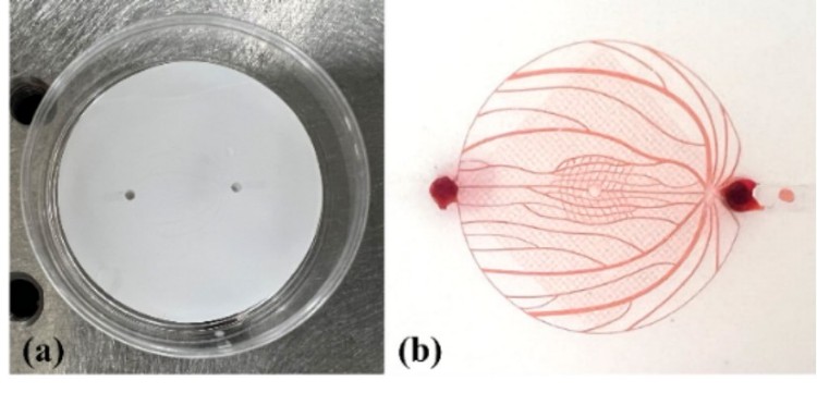 1744795431684588.jpg 微信圖片_20250416172126.jpg