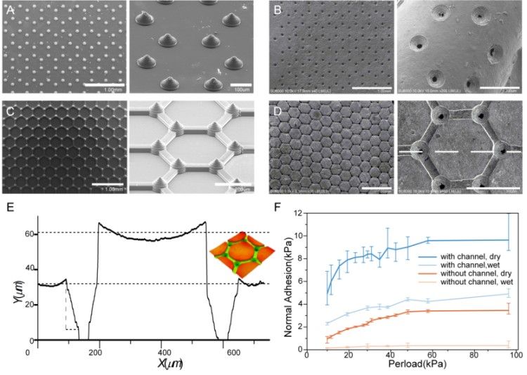 1745374239842952.jpg 微信圖片_20250423100920.jpg