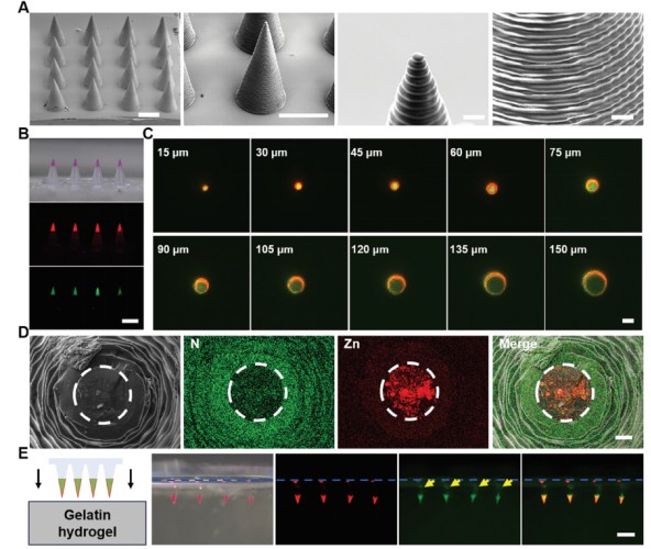 1746003741768860.jpg 微信圖片_20250430165720.jpg