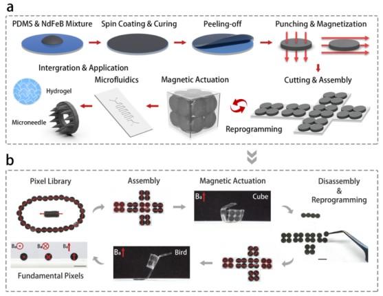 1746004358934710.jpg 微信圖片_20250430171155.jpg