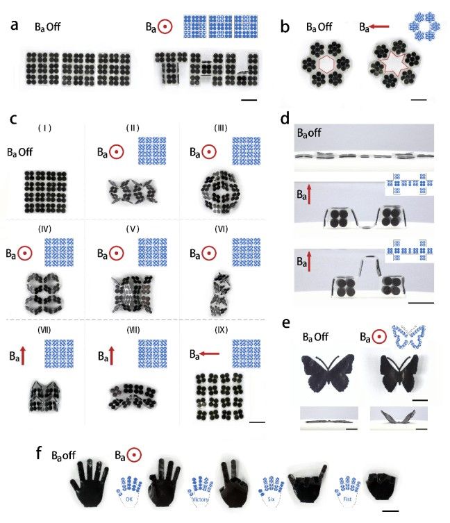 1746004373351501.jpg 微信圖片_20250430171200.jpg