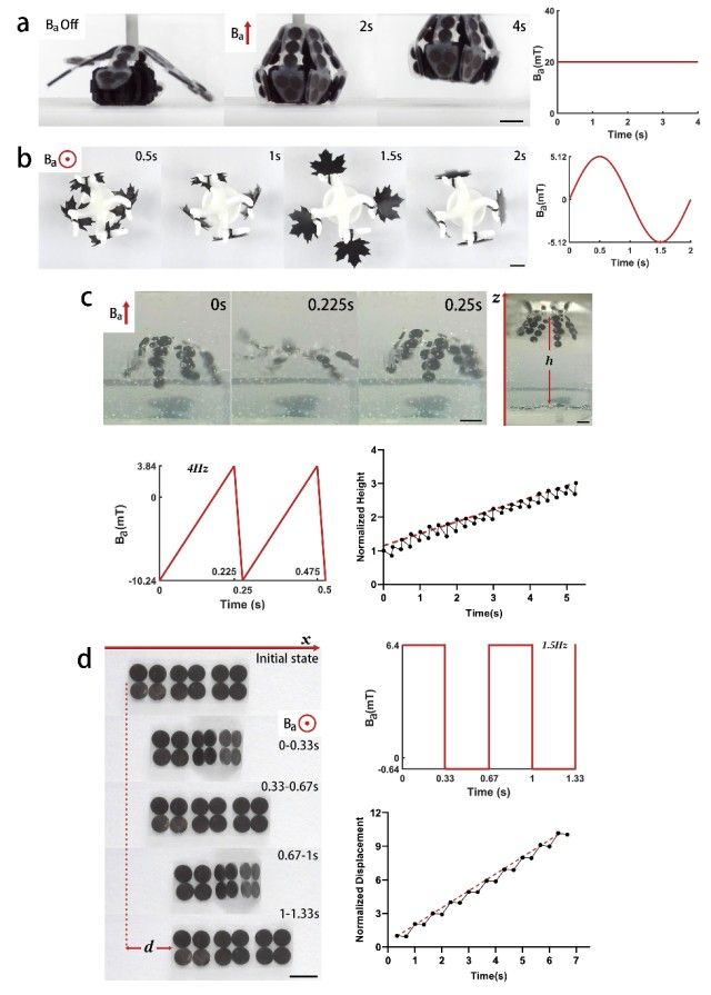 1746004392554226.jpg 微信圖片_20250430171203.jpg