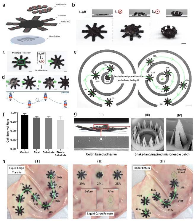 1746004410539178.jpg 微信圖片_20250430171207.jpg