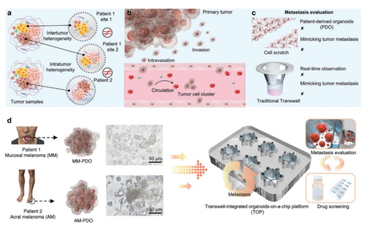 1746005275193917.jpg 微信圖片_20250430172659.jpg