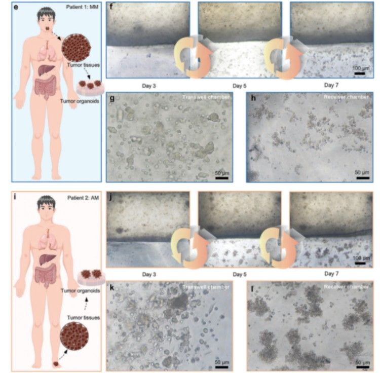 1746005313428316.jpg 微信圖片_20250430172718.jpg