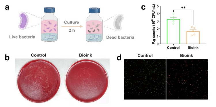 1746501811705850.jpg 微信圖片_20250506112226.jpg