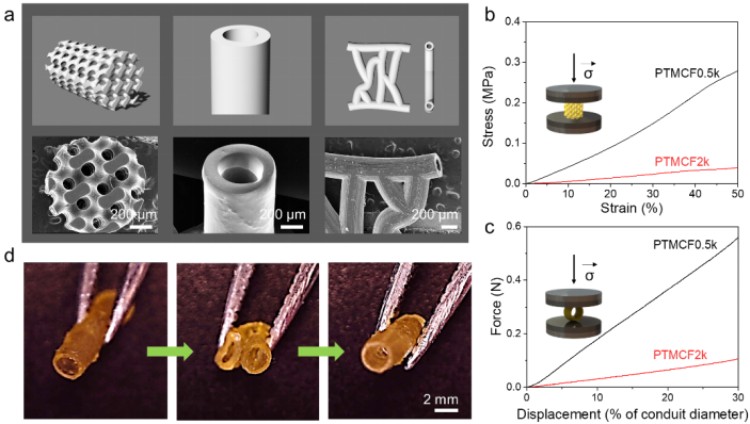 1746597895993831.jpg 微信圖片_20250507140306.jpg