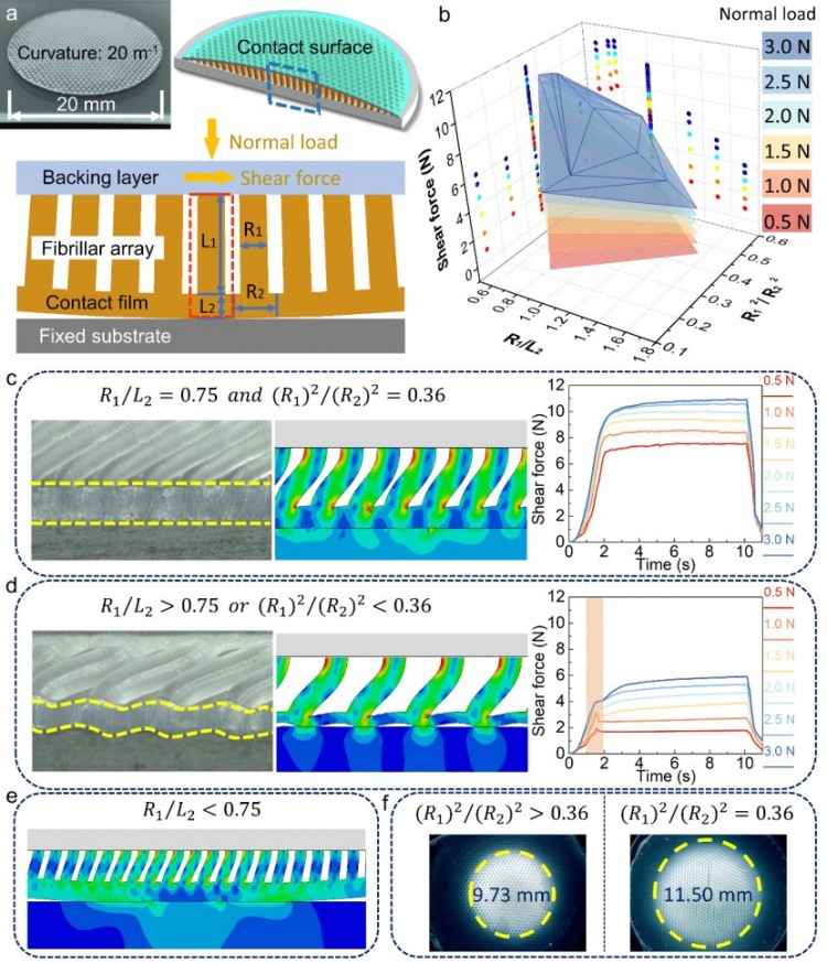 1746598904287291.jpg 微信圖片_20250507141957.jpg