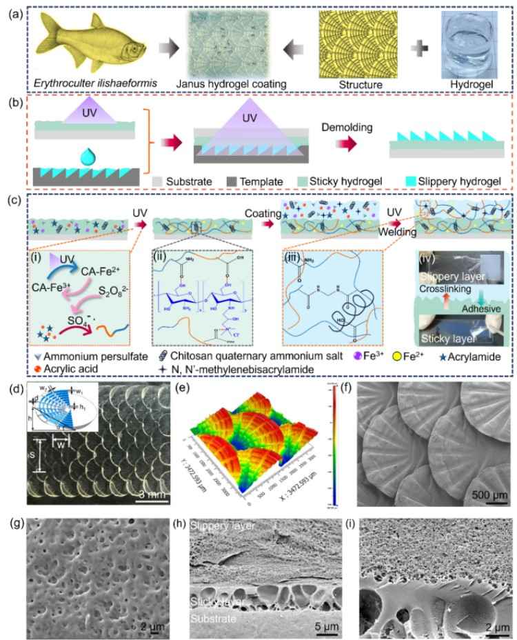 1746599352737264.jpg 微信圖片_20250507142818.jpg