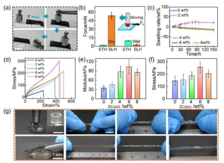 1746599384915614.jpg 微信圖片_20250507142826.jpg