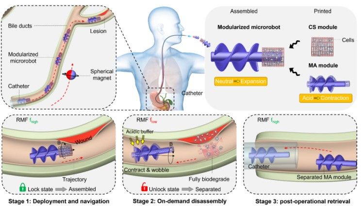 1746600965784739.jpg 微信圖片_20250507144640.jpg