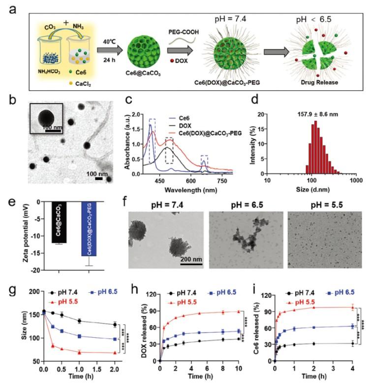 1746690360890085.jpg 微信圖片_20250508154429.jpg