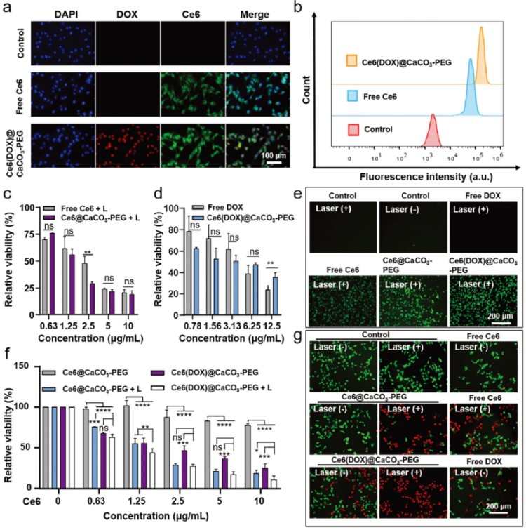 1746690386123669.jpg 微信圖片_20250508154454.jpg