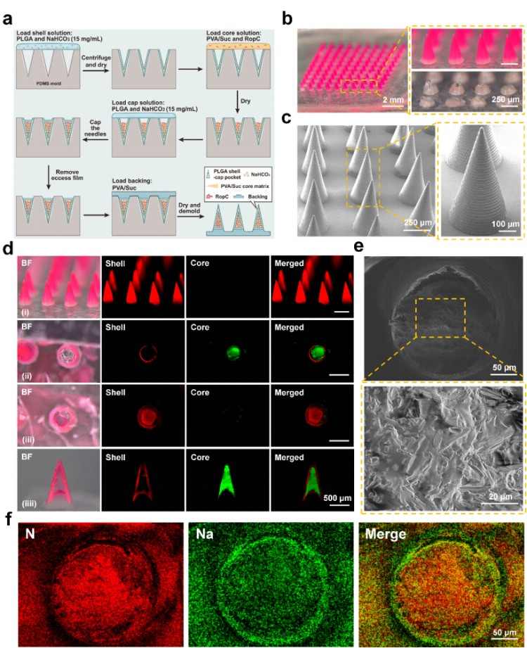 1746691821595211.jpg 微信圖片_20250508160914.jpg