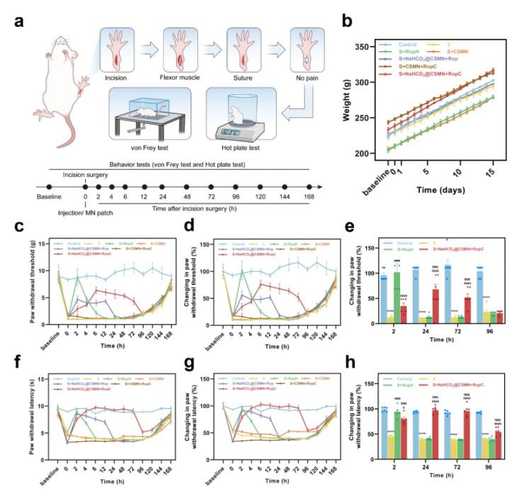 1746691833102216.jpg 微信圖片_20250508160918.jpg