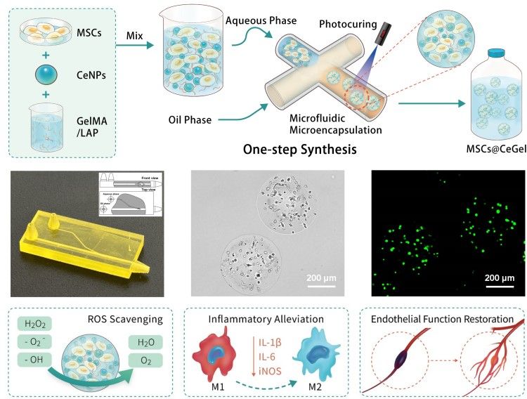1749457714688702.jpg 微信圖片_20250609162655.jpg
