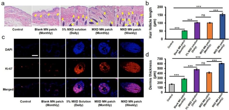 1749459734102558.jpg 微信圖片_20250609165934.jpg