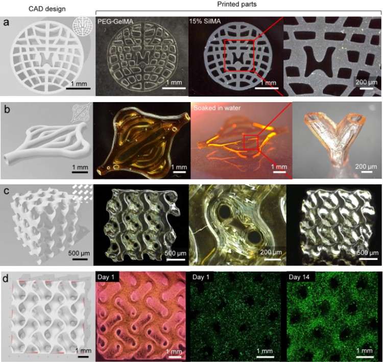 1749461558514906.jpg 微信圖片_20250609172958.jpg