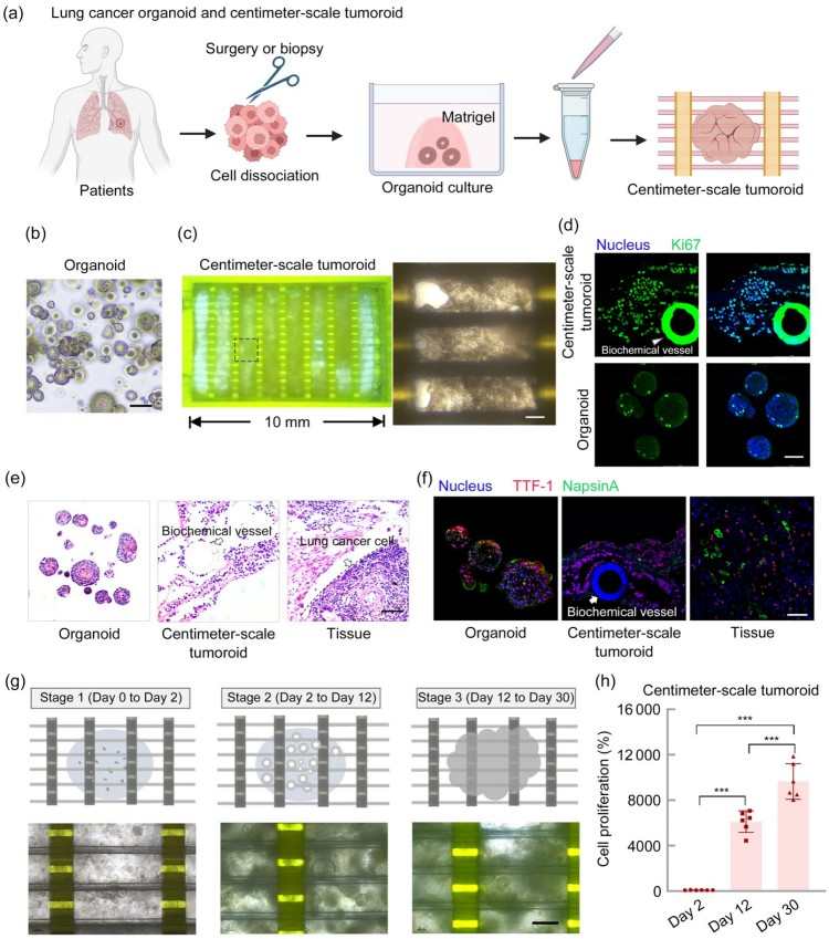 1749611056471926.jpg 微信圖片_20250611110325.jpg
