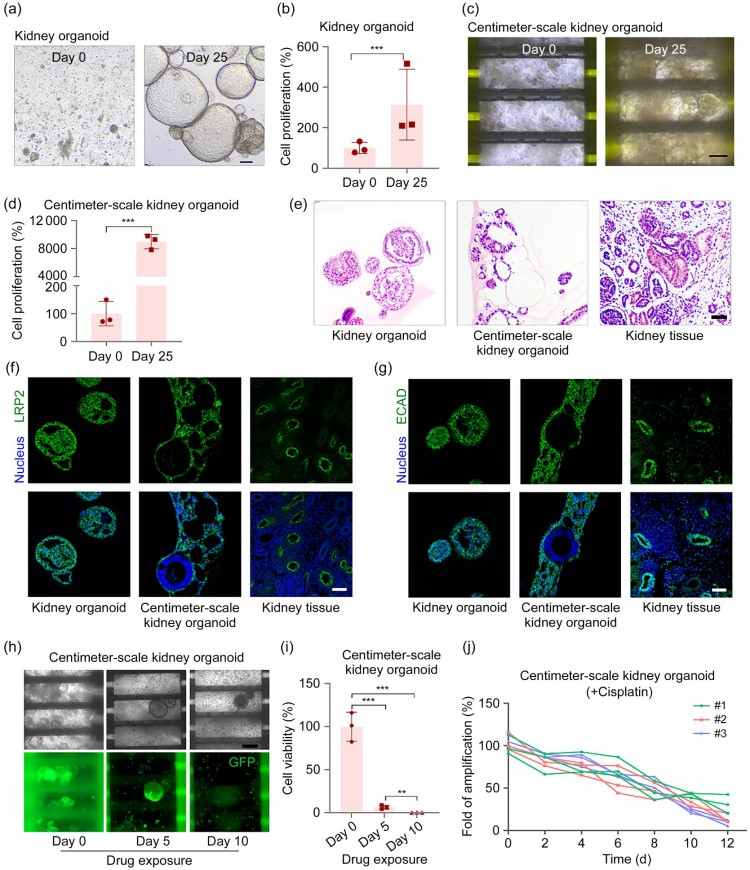 1749611156707856.jpg 微信圖片_20250611110336.jpg