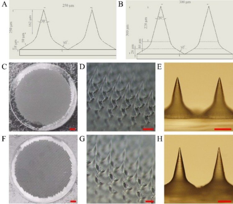 1749708798423179.jpg 微信圖片_20250612141235.jpg