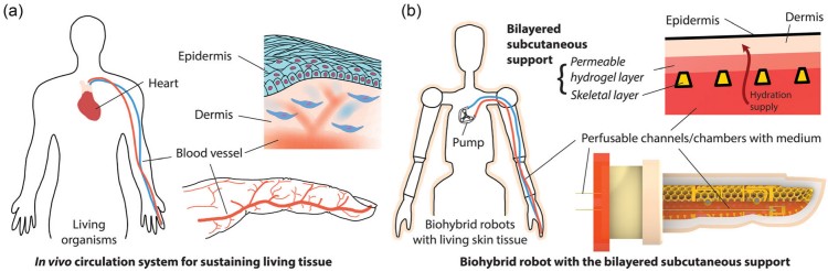 1750819263664413.jpg 微信圖片_20250625103055.jpg