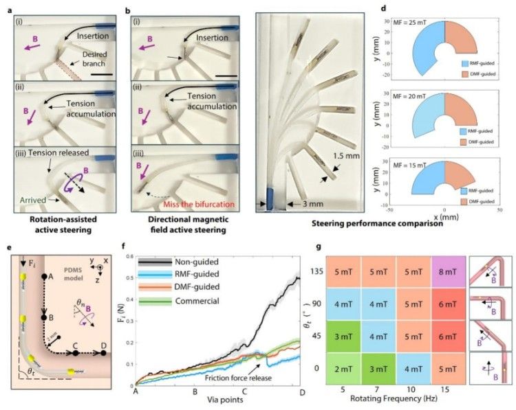 1752026443315659.jpg 微信圖片_20250709093451.jpg