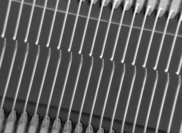 1752030963316873.jpg 9c14797f-a198-434d-a3f5-c1a3c96a7899.jpg