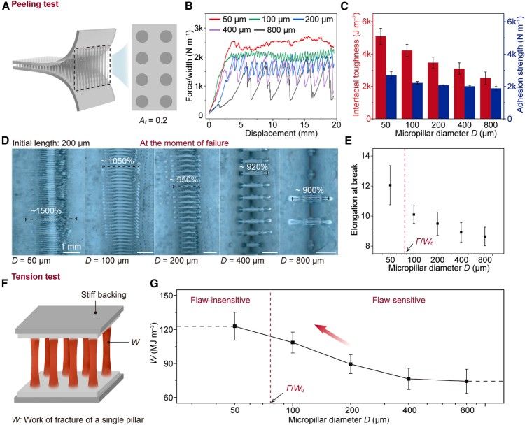 1752630328201254.jpg 微信圖片_20250716092623.jpg