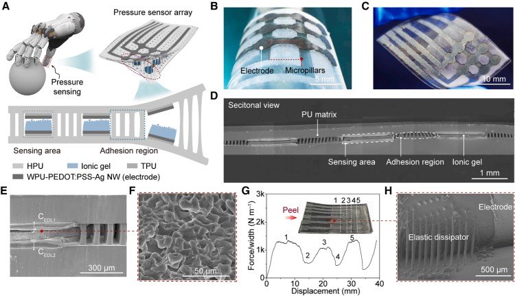 1752630344144614.jpg 微信圖片_20250716092628.jpg