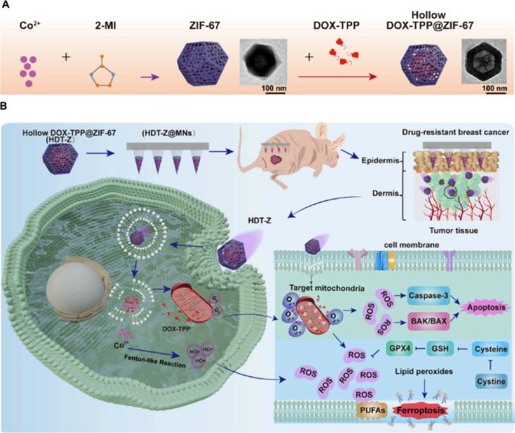 1753060897696622.jpg 微信圖片_20250721091651.jpg