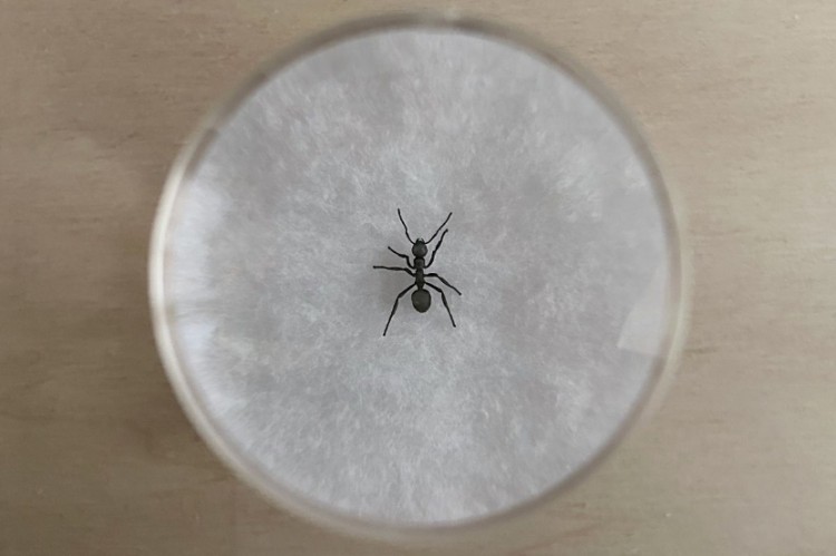 1753666575136201.jpg 微信圖片_20250728092420.jpg